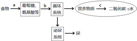 360优课网