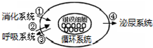 360优课网