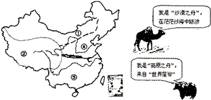 360优课网