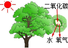 360优课网