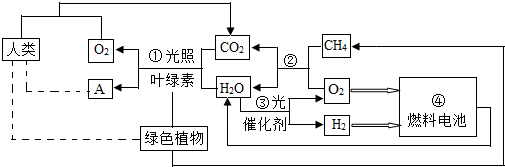 360优课网