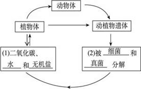 360优课网