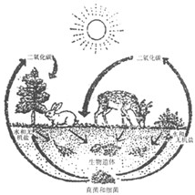 360优课网
