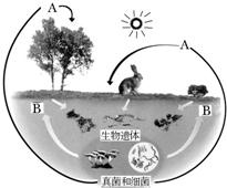 360优课网
