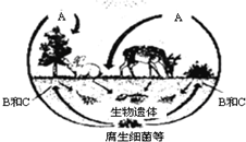360优课网