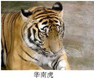 360优课网
