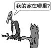 360优课网