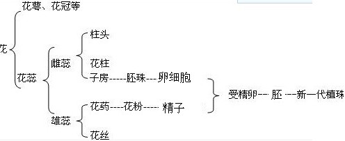 360优课网