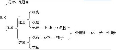 360优课网