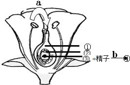 360优课网