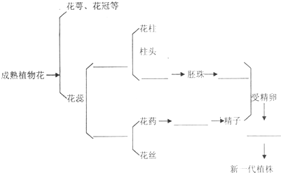 360优课网
