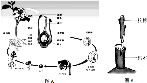 360优课网