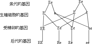 360优课网