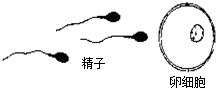 360优课网