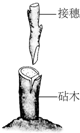 360优课网