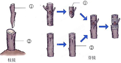 360优课网
