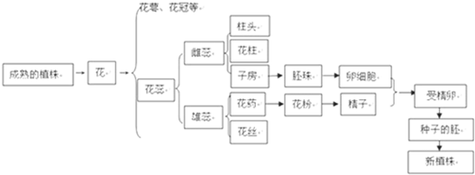 360优课网