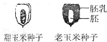 360优课网