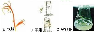 360优课网