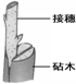 360优课网