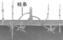 360优课网