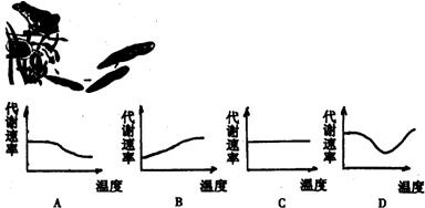 360优课网