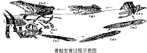 360优课网