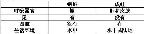 360优课网