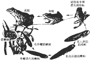 360优课网