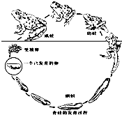 360优课网