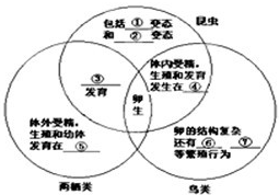 360优课网