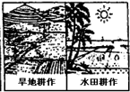 360优课网