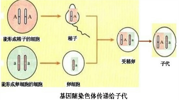 360优课网