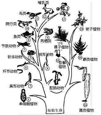 360优课网
