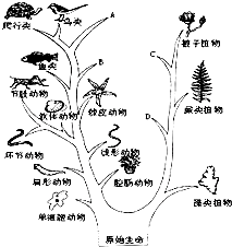 360优课网