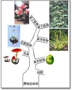 360优课网