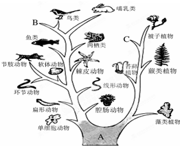 360优课网