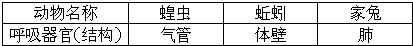 360优课网