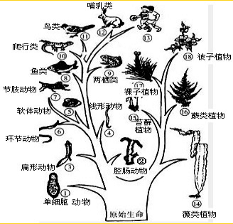360优课网