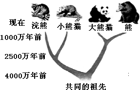 360优课网