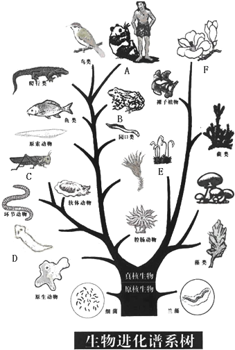 360优课网