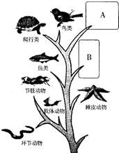 360优课网