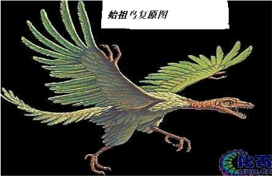 360优课网