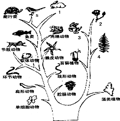 360优课网