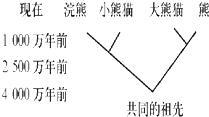 360优课网