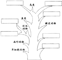 360优课网
