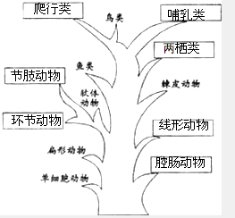 360优课网