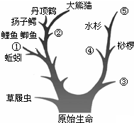 360优课网