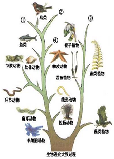 360优课网