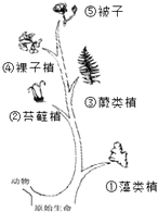 360优课网